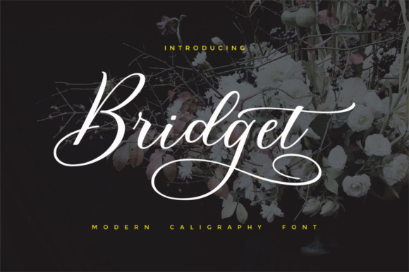 Bridget Script: A Feminine Touch for Creative Projects