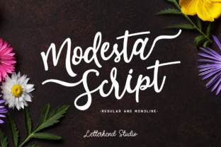 Modesta Script: A Feminine Touch in Modern Design