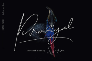 Prodigal: A Handwritten Font with Character